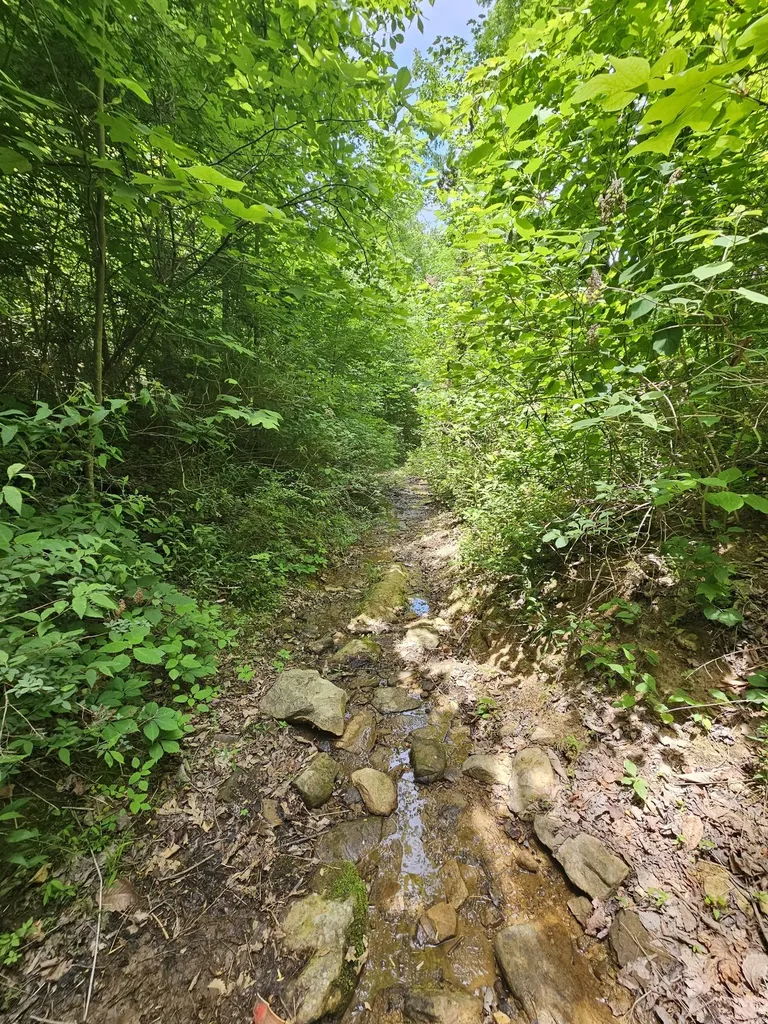3 Blackberry Road Beersheba Springs TN 37305