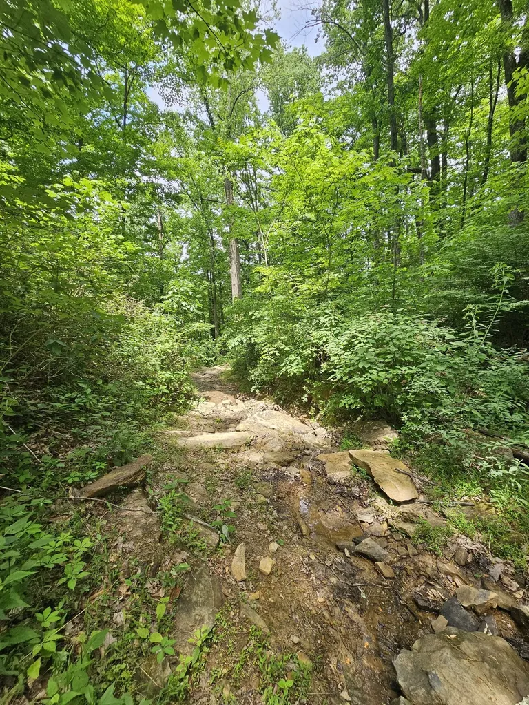 3 Blackberry Road Beersheba Springs TN 37305