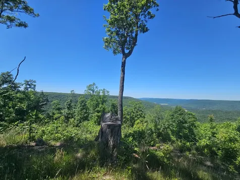 3 Blackberry Road Beersheba Springs TN 37305