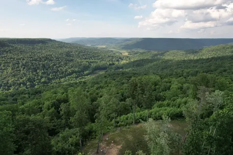 3 Blackberry Road Beersheba Springs TN 37305