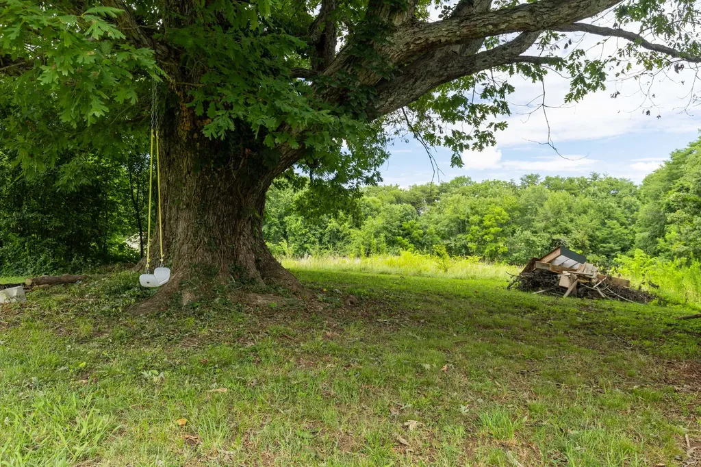 456 Billingsley Street Spencer TN 38585
