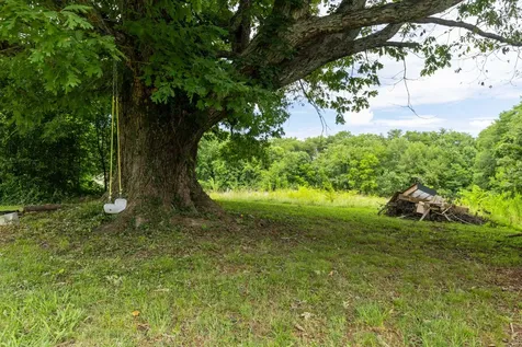 456 Billingsley Street Spencer TN 38585
