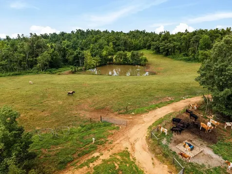 900 Ed Renfroe Circle Bath Springs TN 38311