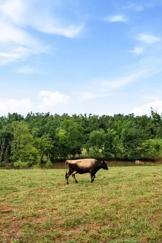 900 Ed Renfroe Circle Bath Springs TN 38311