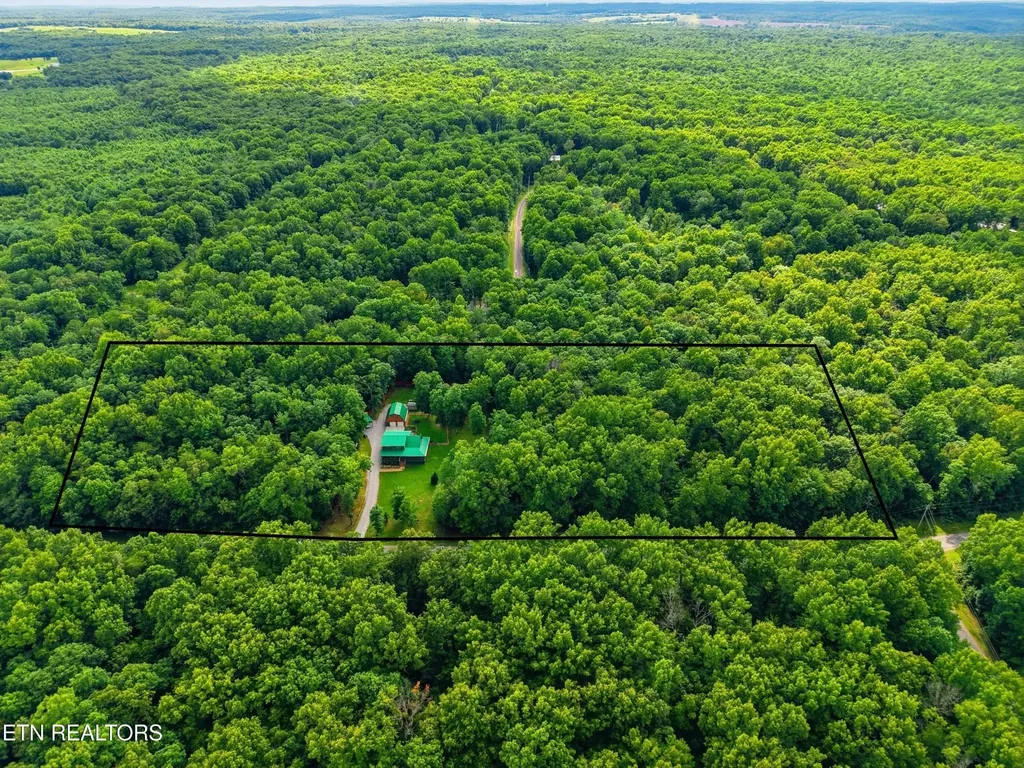 246 Cross Drive Monterey TN 38574