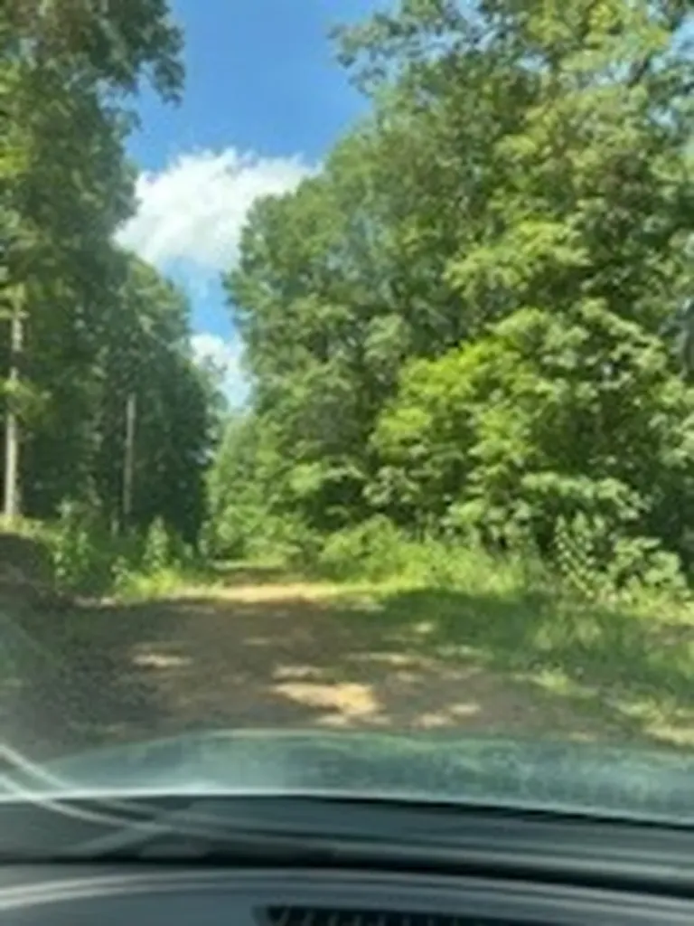 0 Pond Drive Nunnelly TN 37137