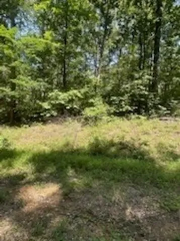 0 Pond Drive Nunnelly TN 37137