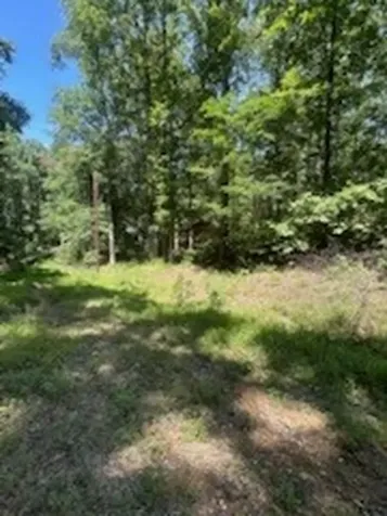 0 Pond Drive Nunnelly TN 37137