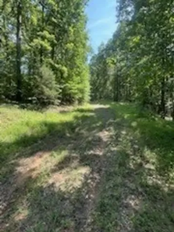0 Pond Drive Nunnelly TN 37137