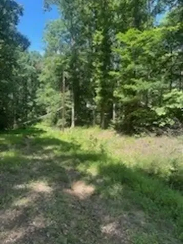 0 Pond Drive Nunnelly TN 37137
