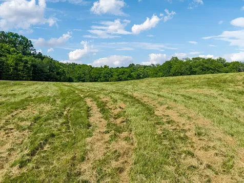 4545 Stephenson Schoolhouse Road Hampshire TN 38461