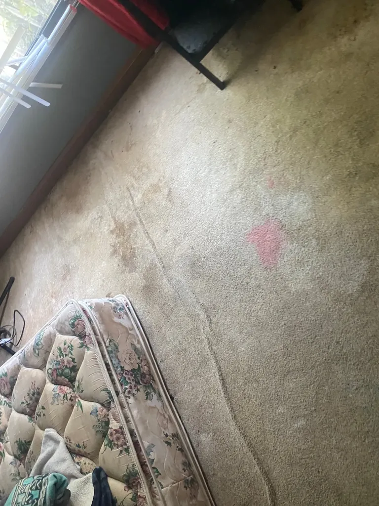 6183 Parker Road Lyles TN 37098