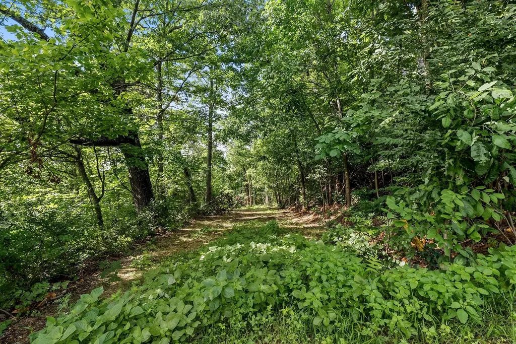 730 Valhalla Lane Brentwood TN 37027