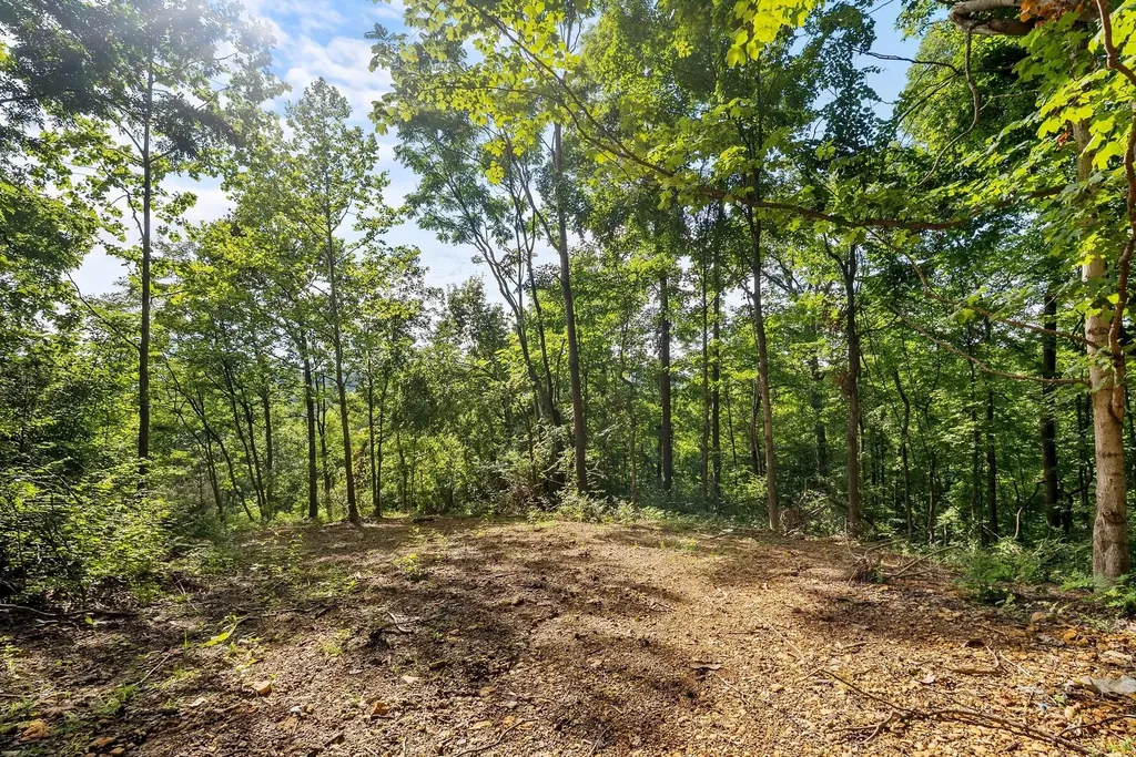 730 Valhalla Lane Brentwood TN 37027