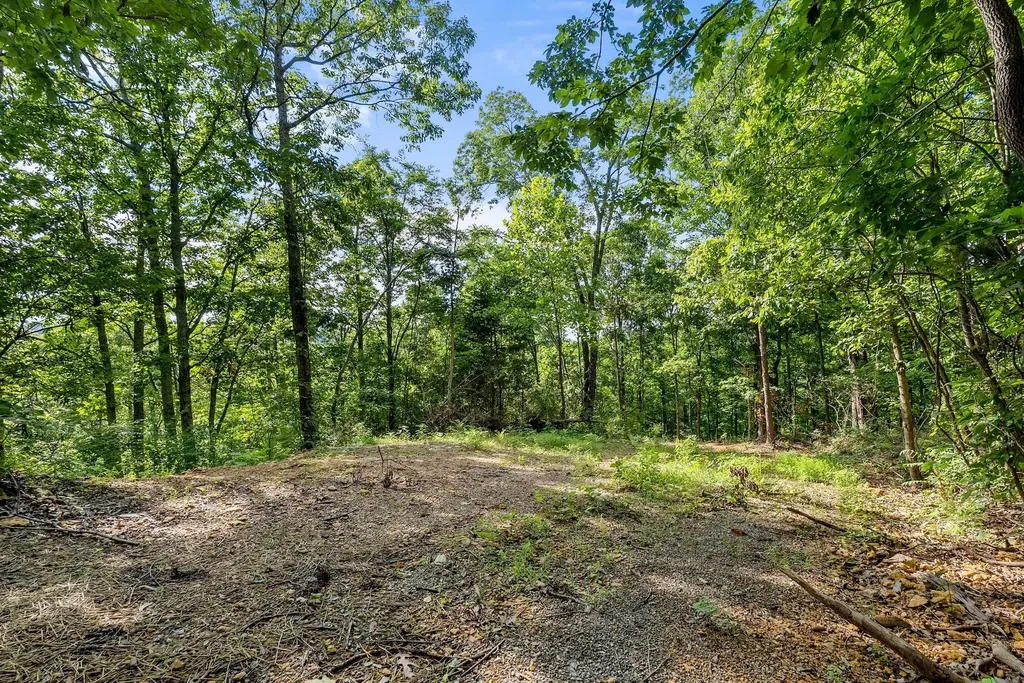 730 Valhalla Lane Brentwood TN 37027