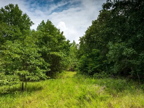 0 Highway 64, E Selmer TN 38375