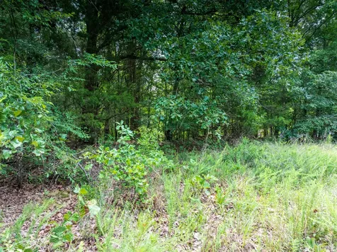 0 Highway 64, E Selmer TN 38375