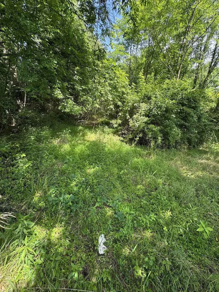 9108 Highway 20 Summertown TN 38483