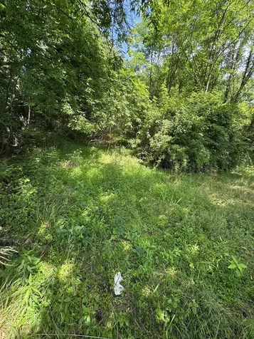 9108 Highway 20 Summertown TN 38483