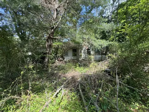 9108 Highway 20 Summertown TN 38483