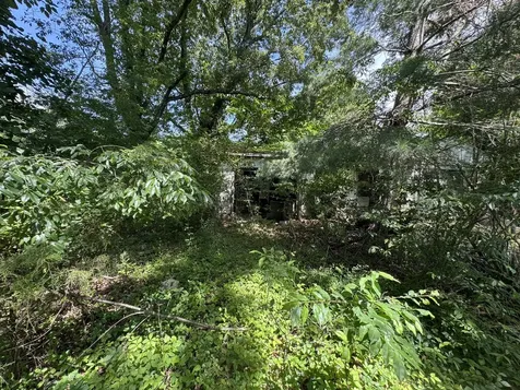 9108 Highway 20 Summertown TN 38483