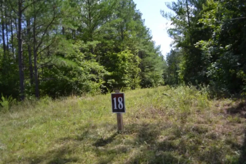 318 Rhodas Way Sunbright TN 37872