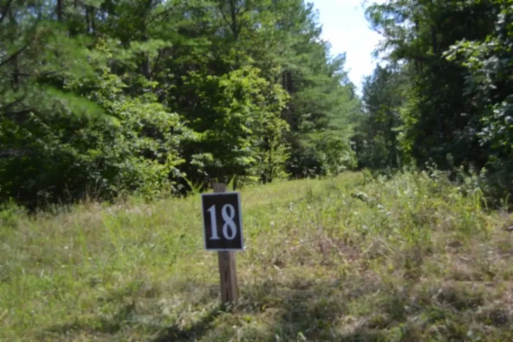 318 Rhodas Way Sunbright TN 37872