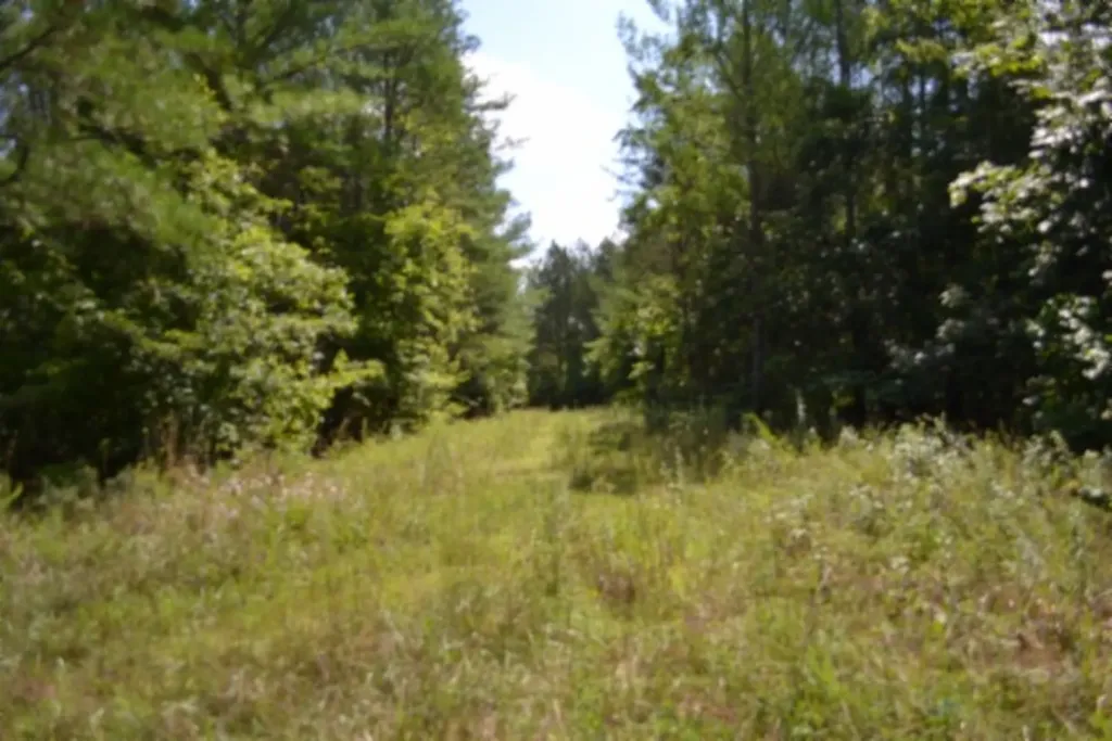 318 Rhodas Way Sunbright TN 37872