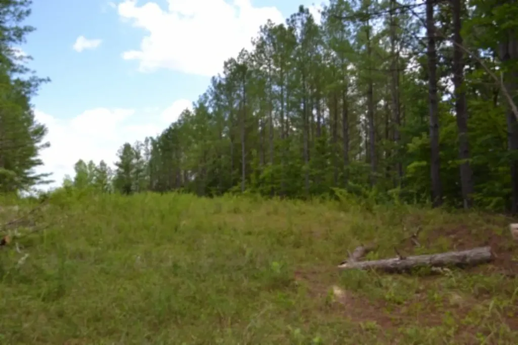 318 Rhodas Way Sunbright TN 37872