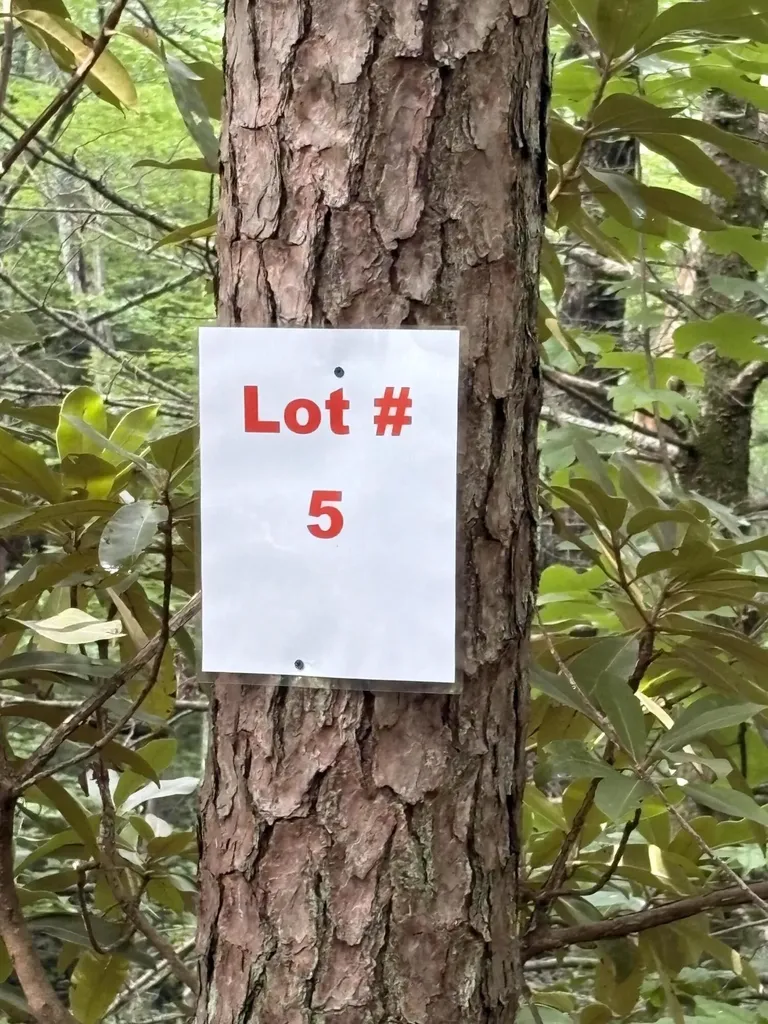 5 Old Furnace Road Tellico Plains TN 37385