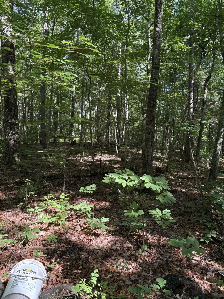 2 Old Furnace Road Tellico Plains TN 37385