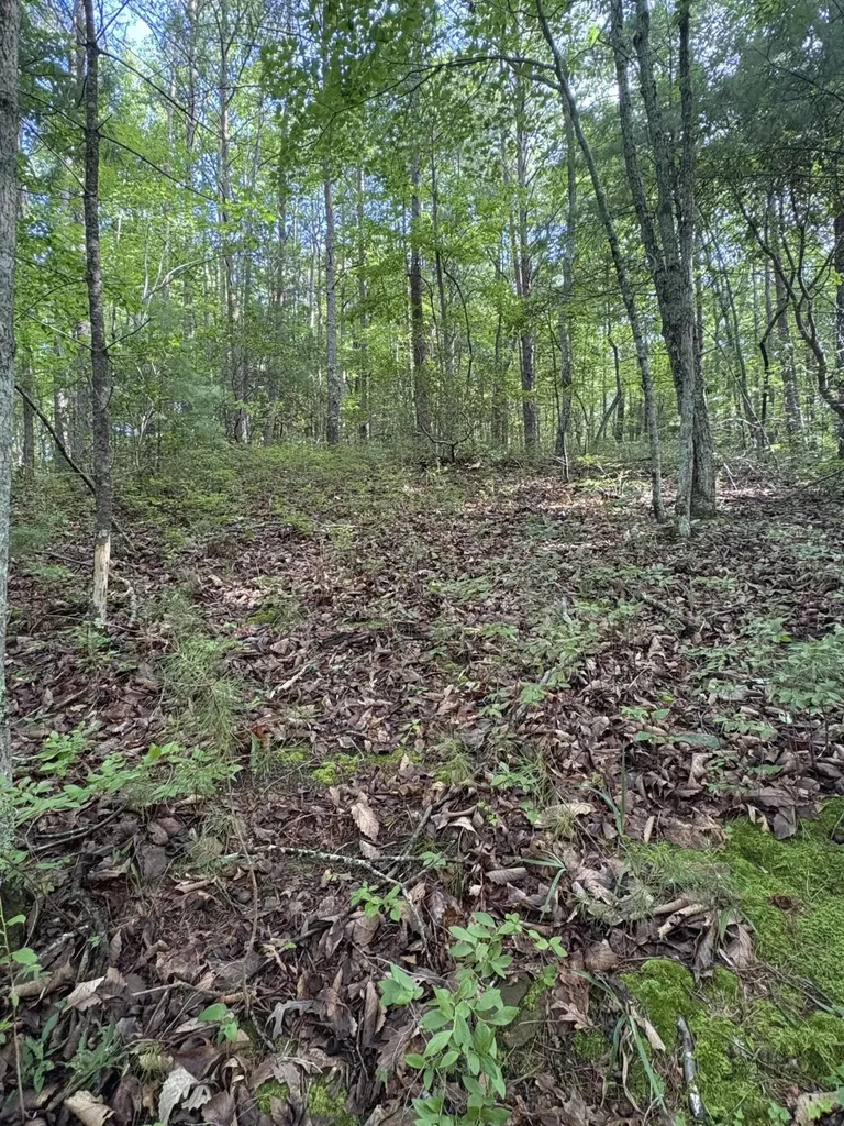2 Old Furnace Road Tellico Plains TN 37385