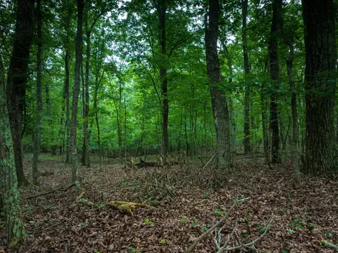 0 Timberwood Trace Tracy City TN 37387