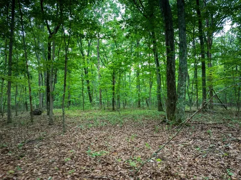 0 Timberwood Trace Tracy City TN 37387
