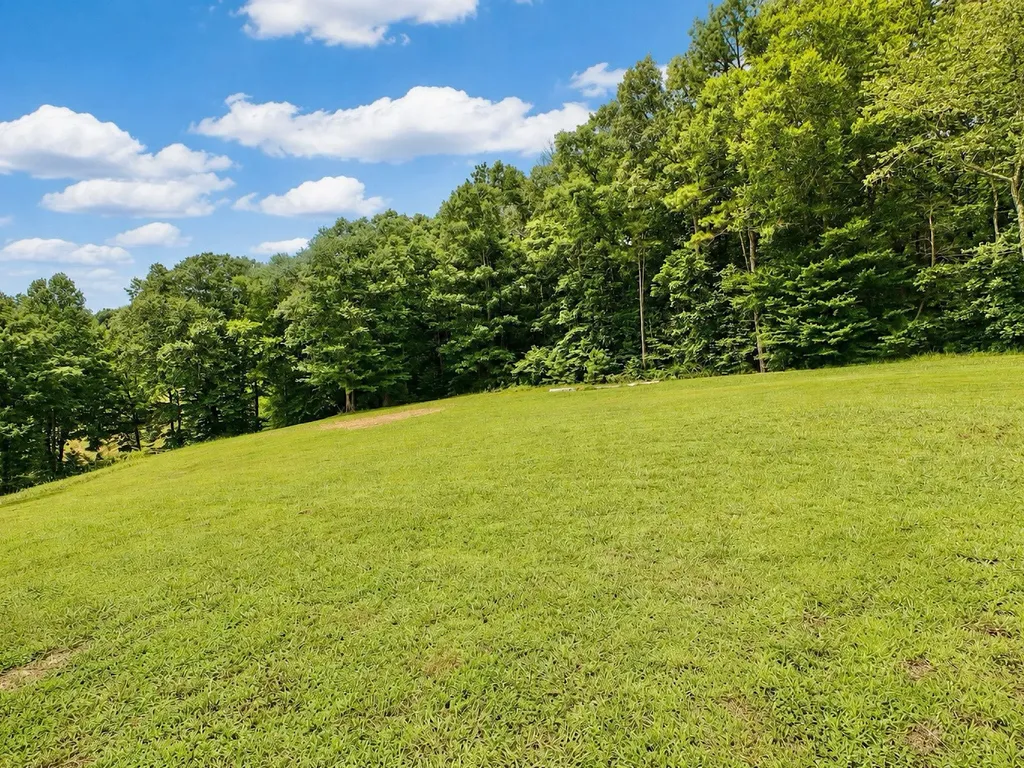 507 County Road 29 Riceville TN 37370