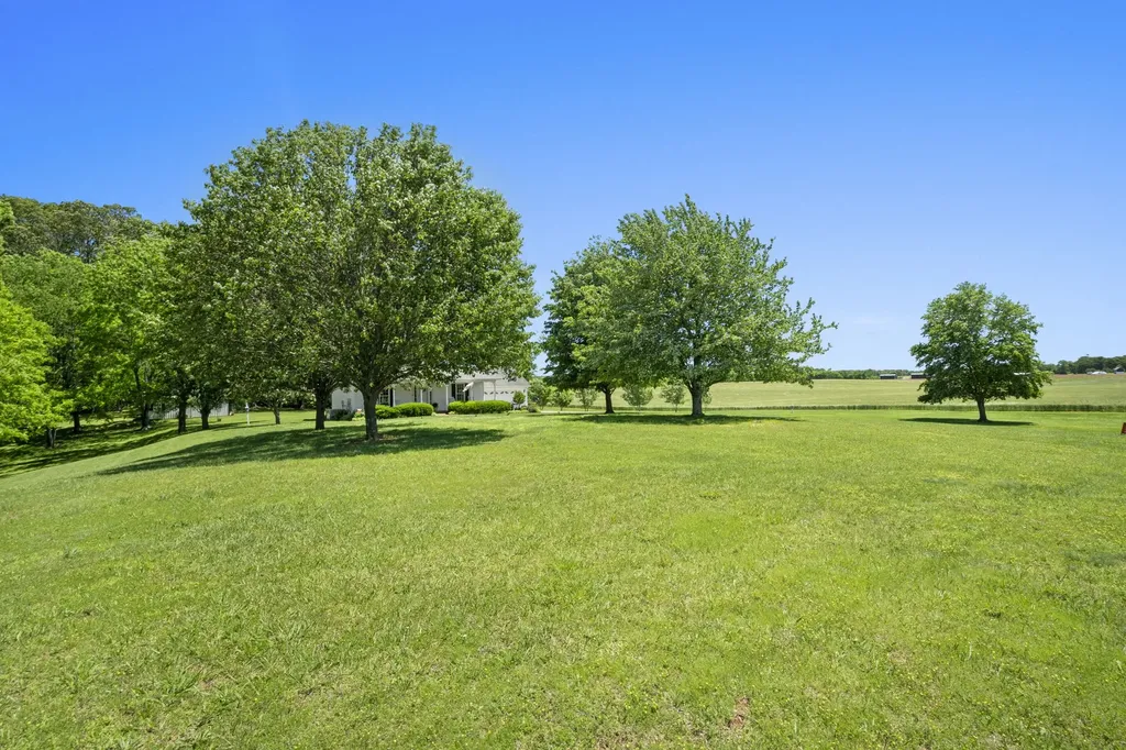 9559 Highway 49, E Orlinda TN 37141