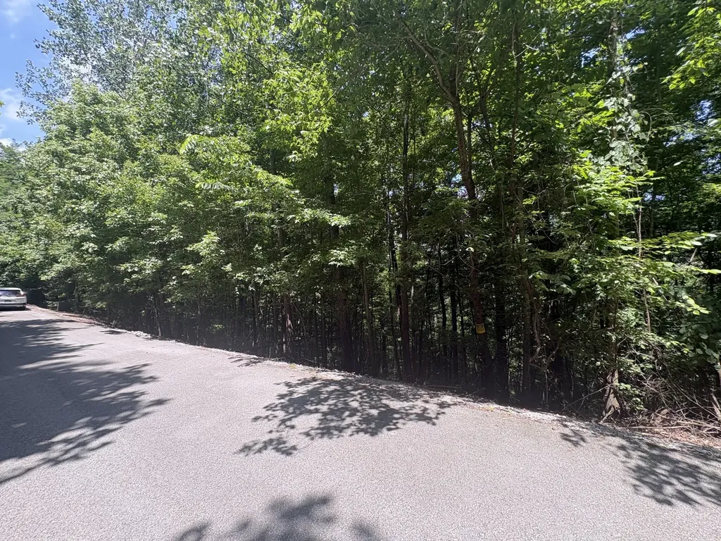 0 Center Hill Shores Drive Smithville TN 37166