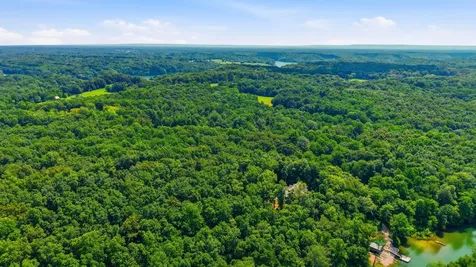 0 Chestnut Ridge Road Lynchburg TN 37352
