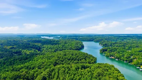 0 Chestnut Ridge Road Lynchburg TN 37352