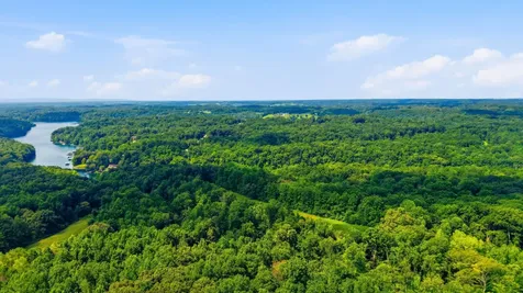 0 Chestnut Ridge Road Lynchburg TN 37352
