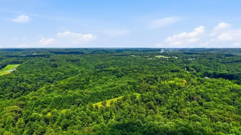 0 Chestnut Ridge Road Lynchburg TN 37352