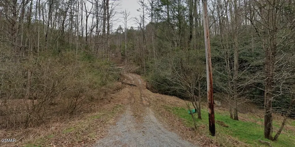 1210 Laurel Lick Road Pigeon Forge TN 37862