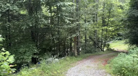 1210 Laurel Lick Road Pigeon Forge TN 37862