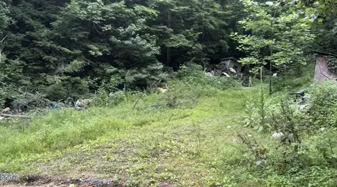 1210 Laurel Lick Road Pigeon Forge TN 37862