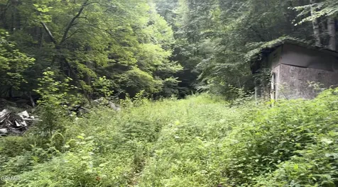 1210 Laurel Lick Road Pigeon Forge TN 37862