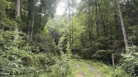 1210 Laurel Lick Road Pigeon Forge TN 37862