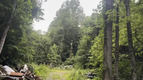1210 Laurel Lick Road Pigeon Forge TN 37862