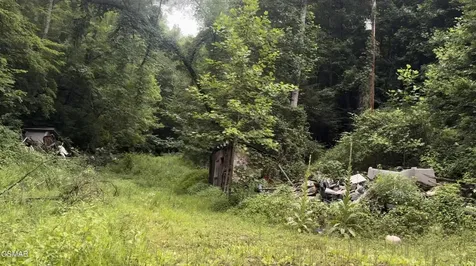 1210 Laurel Lick Road Pigeon Forge TN 37862