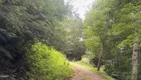 1210 Laurel Lick Road Pigeon Forge TN 37862
