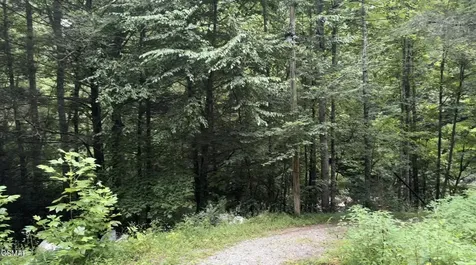1210 Laurel Lick Road Pigeon Forge TN 37862